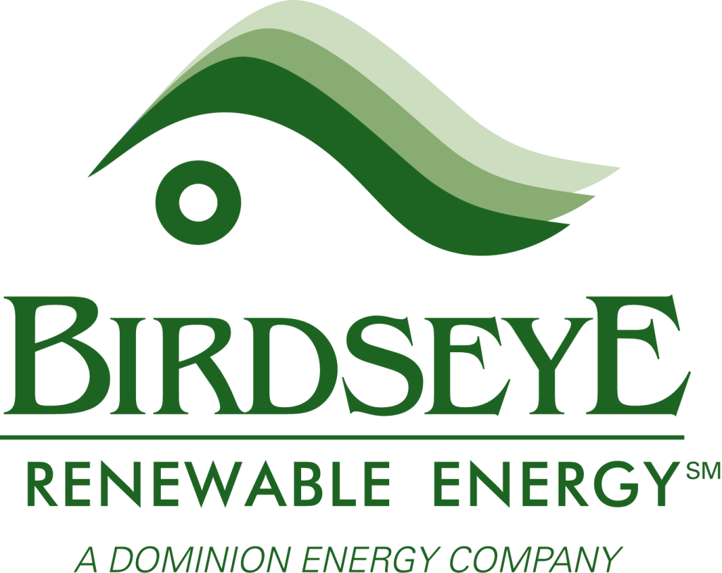 Birdseye renewable energy logo