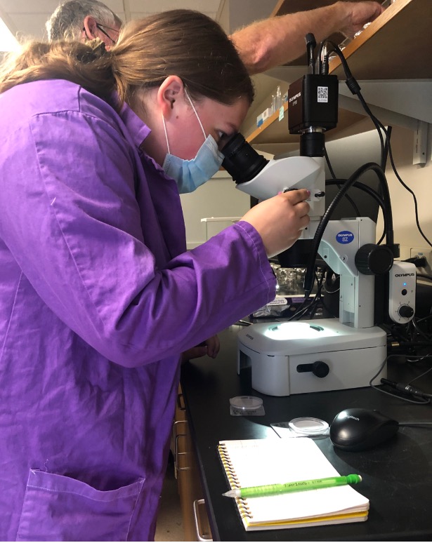 Hall analyzes a sample to determine microplastic concentrations in the water.