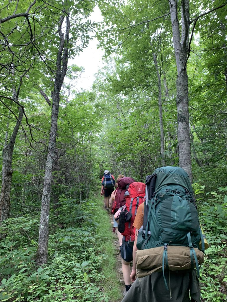 Batpack volunteers hike the Appalachian Trail. Photo by Jacob Thorsheim.