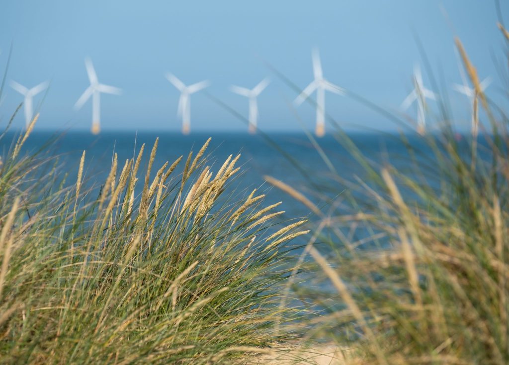 wind turbines in ocean