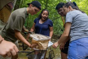 students assess water quality in a stream by looking for macroinvertebrates