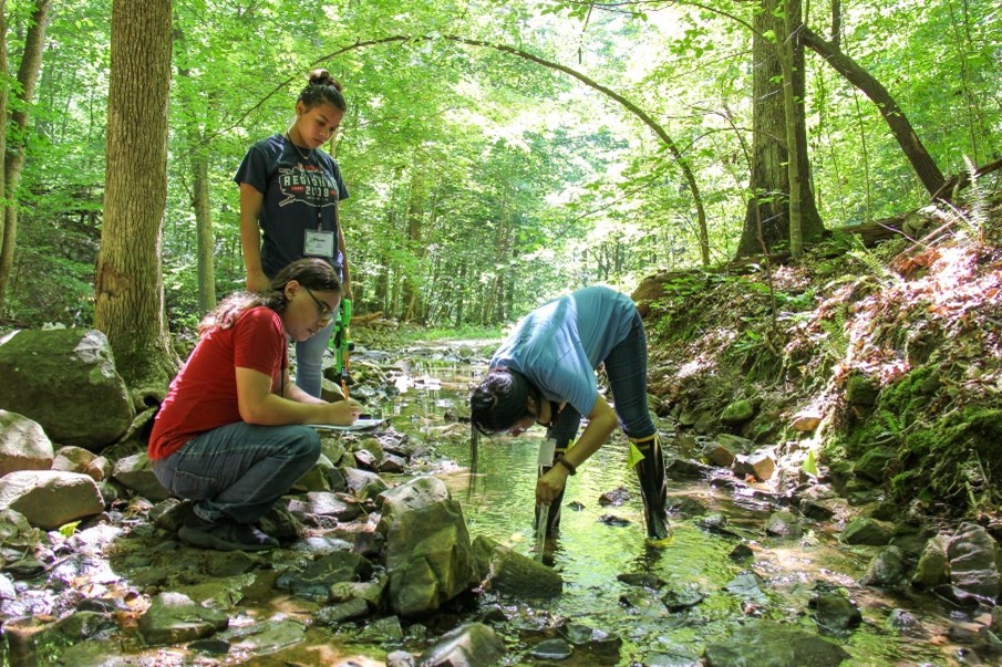 three students monitor water quality in a stream in the woods.