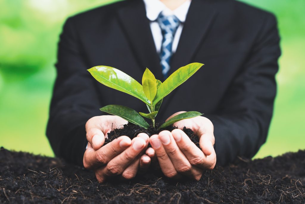 Businessman holding dirt and plant in hands.