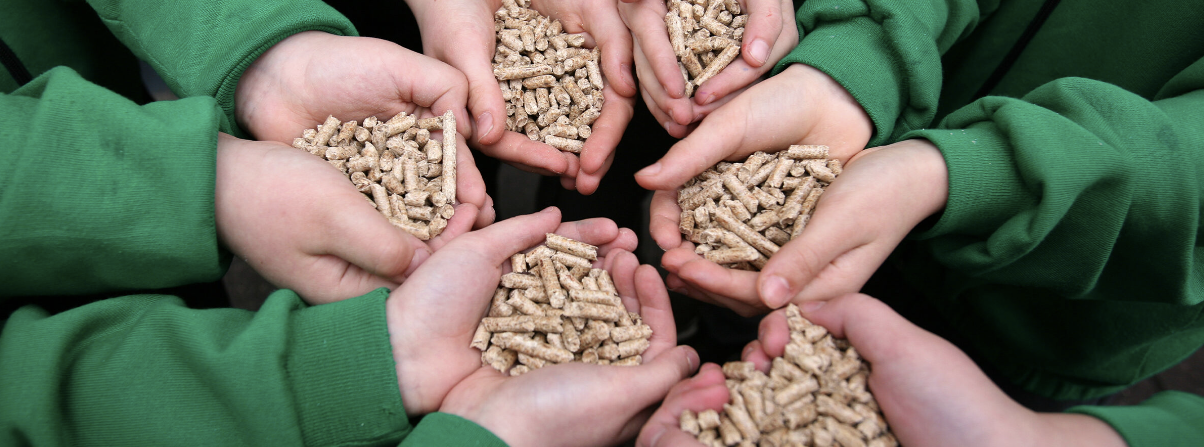 Wood pellets in a circle of hands.