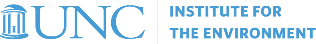 Institute for the Environment Logo